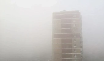 Тульскую область накроет сильный туман ночью и утром 21 января