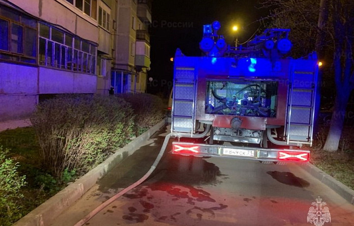 В Алексине сгорела квартира в девятиэтажке: спасатели эвакуировали с пожара 30 человек