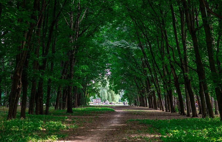 30 июля в Туле будет облачно, а термометры покажут +22 градуса