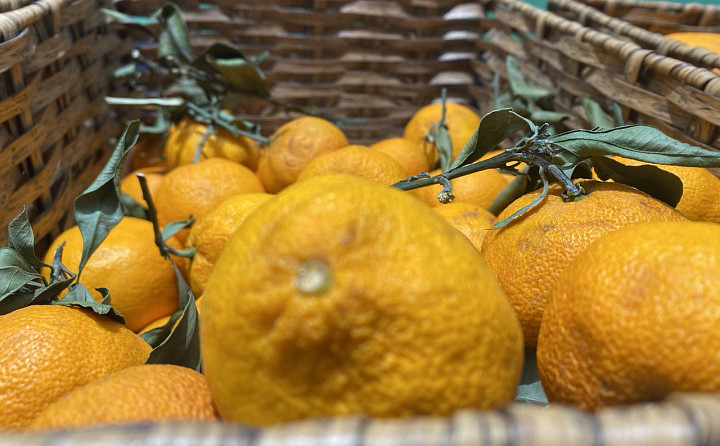 От 99 до 756 рублей за килограмм: сколько стоят мандарины в Туле и как не ошибиться при выборе?