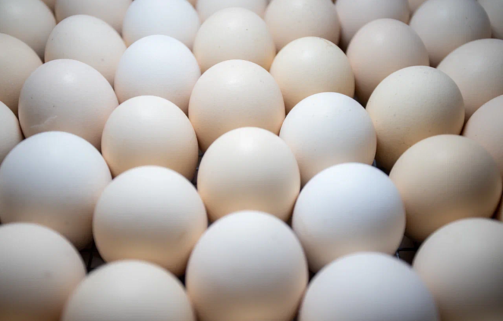 В 2024 году в Тульской области произведено 786,1 миллиона яиц