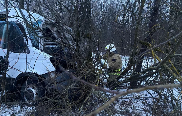 В тульском минздраве рассказали о состоянии пострадавших в смертельном ДТП под Алексином