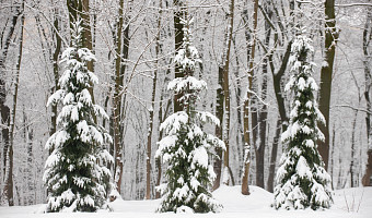 Почти месячная норма осадков выпала в Туле за сутки из-за циклона «Валли»