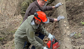 Тульский губернатор Миляев принял участие во всероссийском субботнике