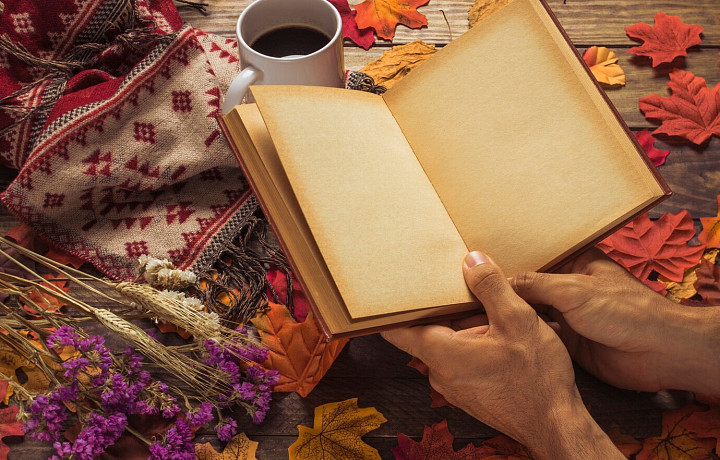 Отличный перевод, замечательная литература: тест на знание литературы с осложнением