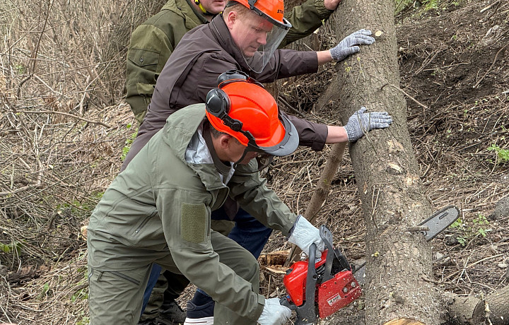 Тульский губернатор Миляев принял участие во всероссийском субботнике