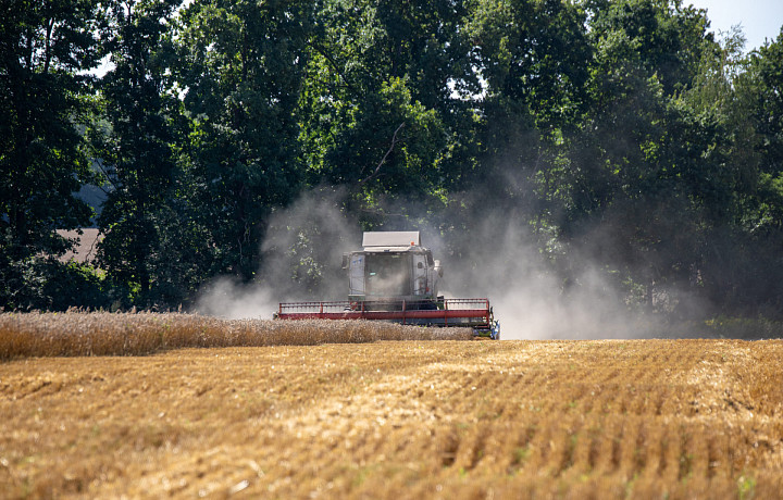 В Тульской области используют 30% отечественных семян