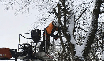 Спасатели в Донском убрали больше десятка аварийных деревьев