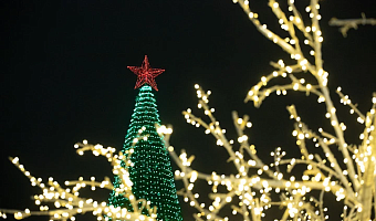 Депутат Нилов предложил продлить новогодние каникулы 2026 года до 11 января