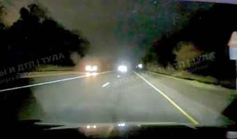 Тульских автомобилистов предупредили о лосях на трассе М-2 «Крым»