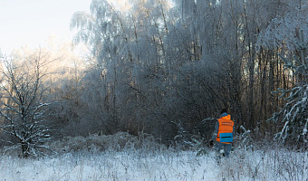 В декабре в Тульской области пропал 51 человек