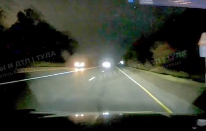 Тульских автомобилистов предупредили о лосях на трассе М-2 «Крым»