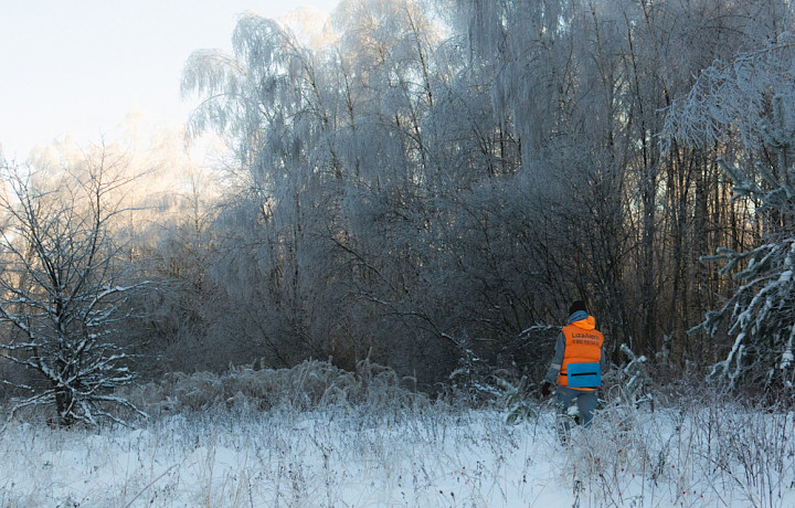 В декабре в Тульской области пропал 51 человек