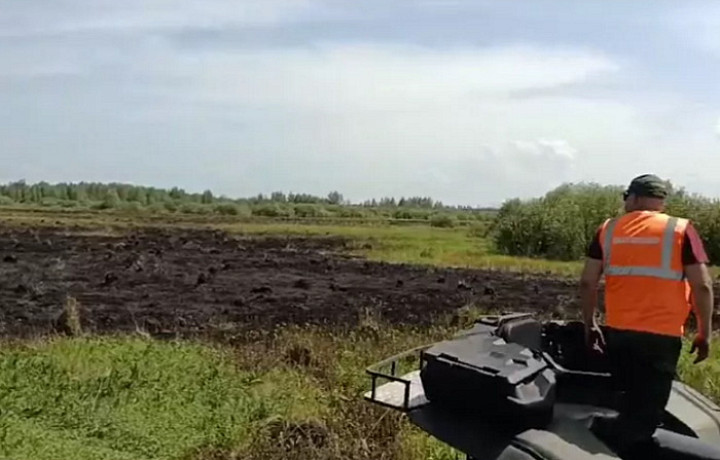 В Тульской области произошел пожар на Лупишкинских болотах