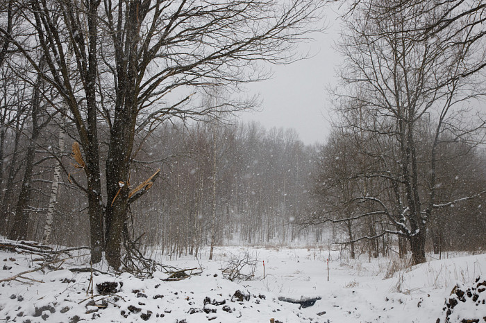 В Туле приступили к ремонту улицы Скуратовской – фоторепортаж с места проведения работ