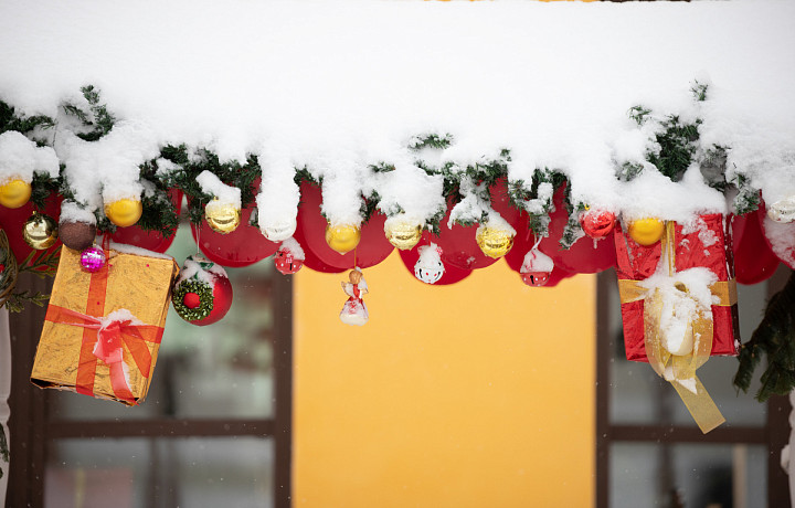 «Дикая Тула» и открытие резиденции Деда Мороза: полная афиша мероприятий в Тульской области на 17 и 18 декабря
