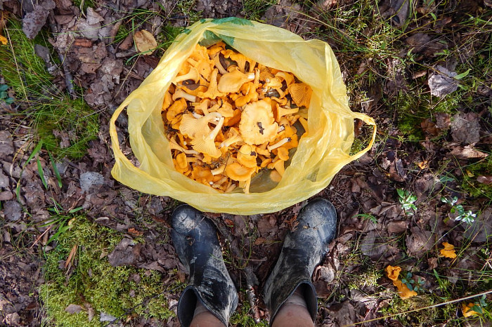 Тулячка путешествует на велосипеде по всему миру: добиралась до Индии и под впечатлением от российского Севера
