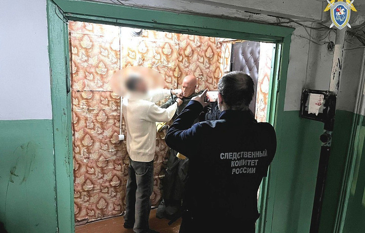 Алексинец пойдет под суд за смертельное избиение супруги