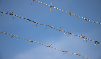 За 2025 год в колонии Тульской области 13 раз пытались пронести телефоны или наркотики