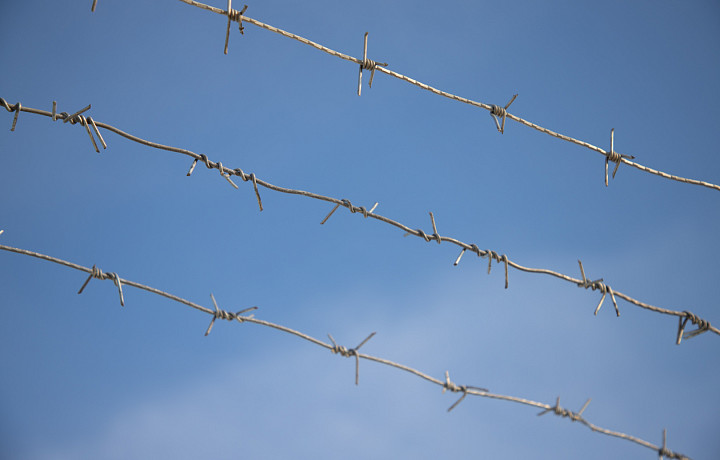 За 2025 год в колонии Тульской области 13 раз пытались пронести телефоны или наркотики