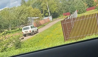 Полиция проводит проверку по инциденту с привязанной к машине собакой в Богородицке