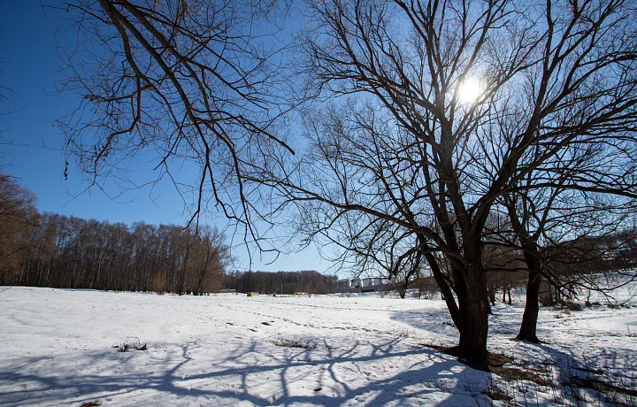 Погода в феврале в Тульской области будет аномально теплой