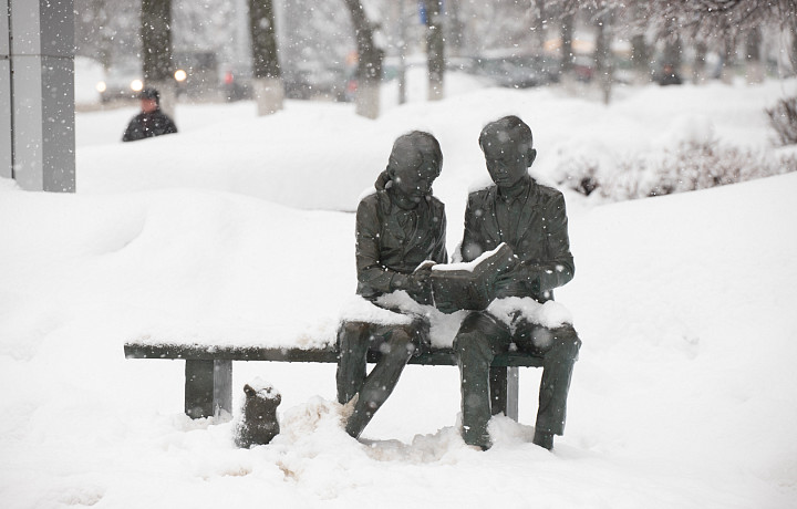 До 18 сантиметров нового снега может выпасть в Тульской области в ночь на 14 декабря