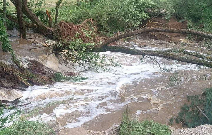 На пруду в деревне Володьково Белевского района из-за дождя размыло плотину