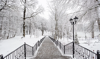 В Тульской области действует оранжевый уровень погодной опасности из-за мороза