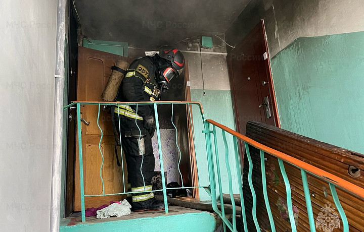 Сотрудники МЧС потушили пожар в Новомосковске