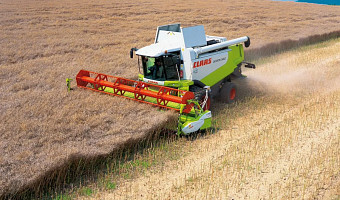 В Тульской области выставили на продажу сельхозпредприятие за 2,5 млрд рублей