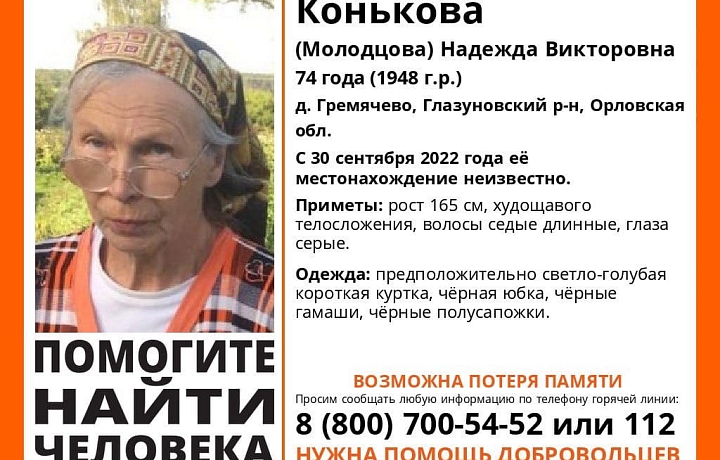 Пропавшая в деревне под Орлом пенсионерка может находиться в Тульской области