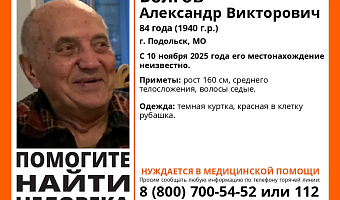 Пропавший 84-летний пенсионер из Подольска может находиться в Тульской области