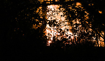 На Одоевском шоссе в Туле загорелась иномарка вечером 6 марта