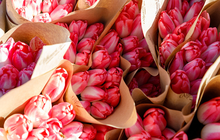 В центре Тулы пройдёт праздничная программа к 8 Марта
