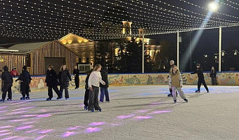 Роспотребнадзор напомнил тулякам правила безопасности при посещении катка с детьми