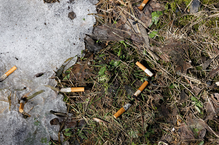 Идет – бычок валяется: фоторепортаж с улиц Тулы, от которого хочется прокашляться