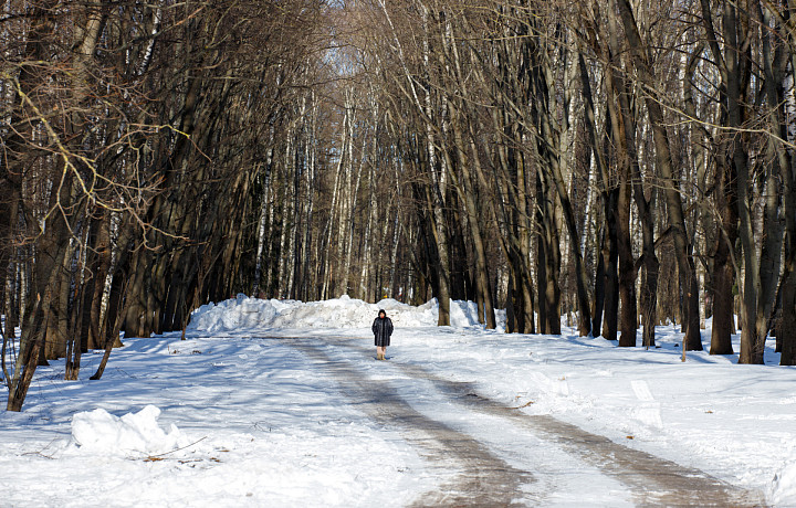 Тульская Госавтоинспекция предупредила об ухудшении погоды 2 и 3 марта