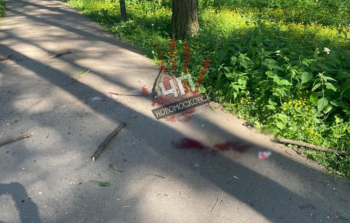 Жительница Новомосковска пострадала после падения сухой ветки с дерева в парке