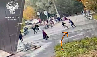 Подозреваемого в убийстве мужчины у МЦД «Волоколамская» поймали в Туле