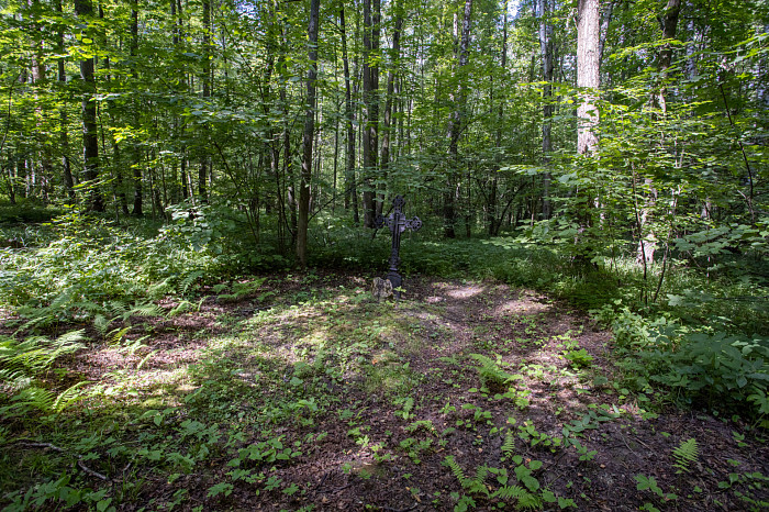 Фоторепортаж из Тесницого леса: как выглядит расстрельный полигон под Тулой