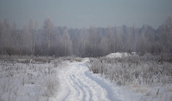Аэродеревню в Заокском районе выставили на продажу за 70 млн рублей