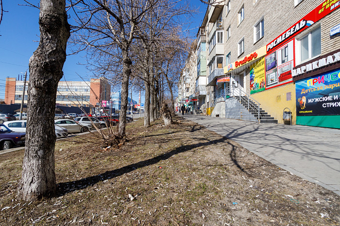 Идет – бычок валяется: фоторепортаж с улиц Тулы, от которого хочется прокашляться