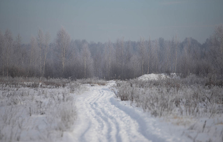 Аэродеревню в Заокском районе выставили на продажу за 70 млн рублей
