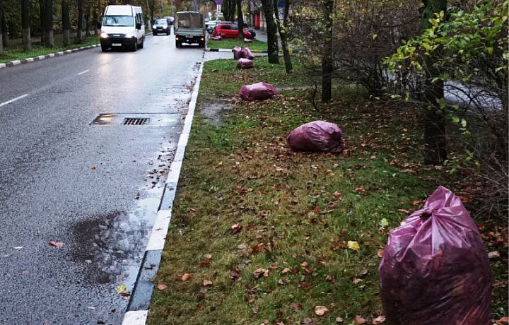 Более 300 рабочих заняты в уборке Тулы 24 октября