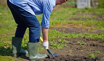 Об эффективном средстве для улучшения качества почвы рассказали тулякам эксперты