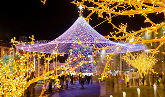 Тульская новогодняя ёлка заняла второе место в голосовании «Ёлка России»