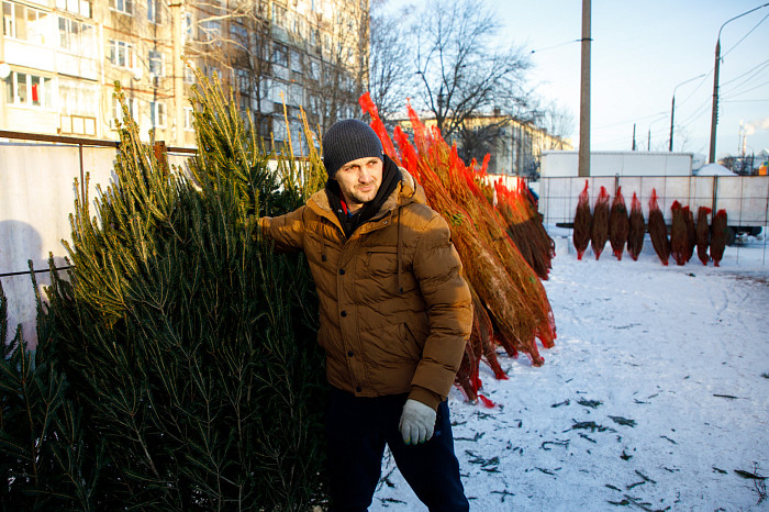 В Туле открылись 33 елочных базара - карта