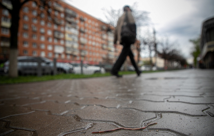 В первый день ноября в Туле и области будет пасмурно и дождливо