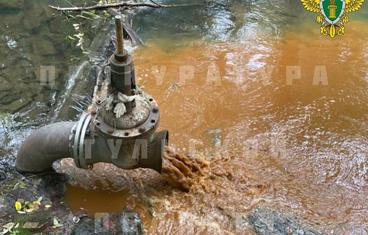 Прокуратура обнаружила источник сброса сточных вод в реку Мышега в Алексине